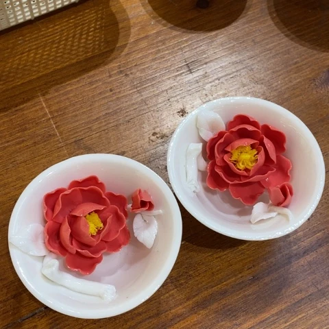 兔兔小杨小杨舞台舞台也小杨小杨