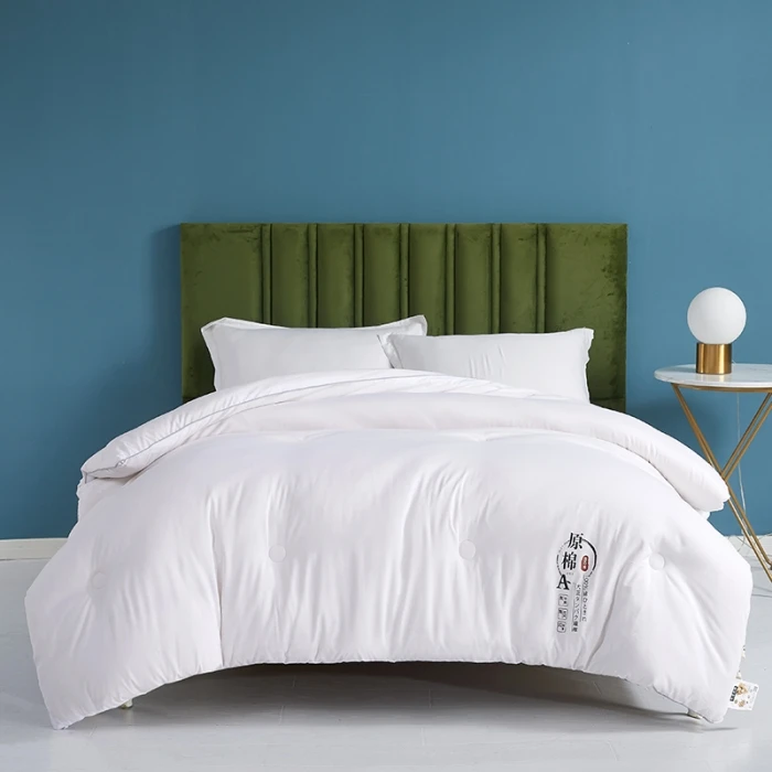 2024新款原棉大豆纤维被冬被子学生被被芯