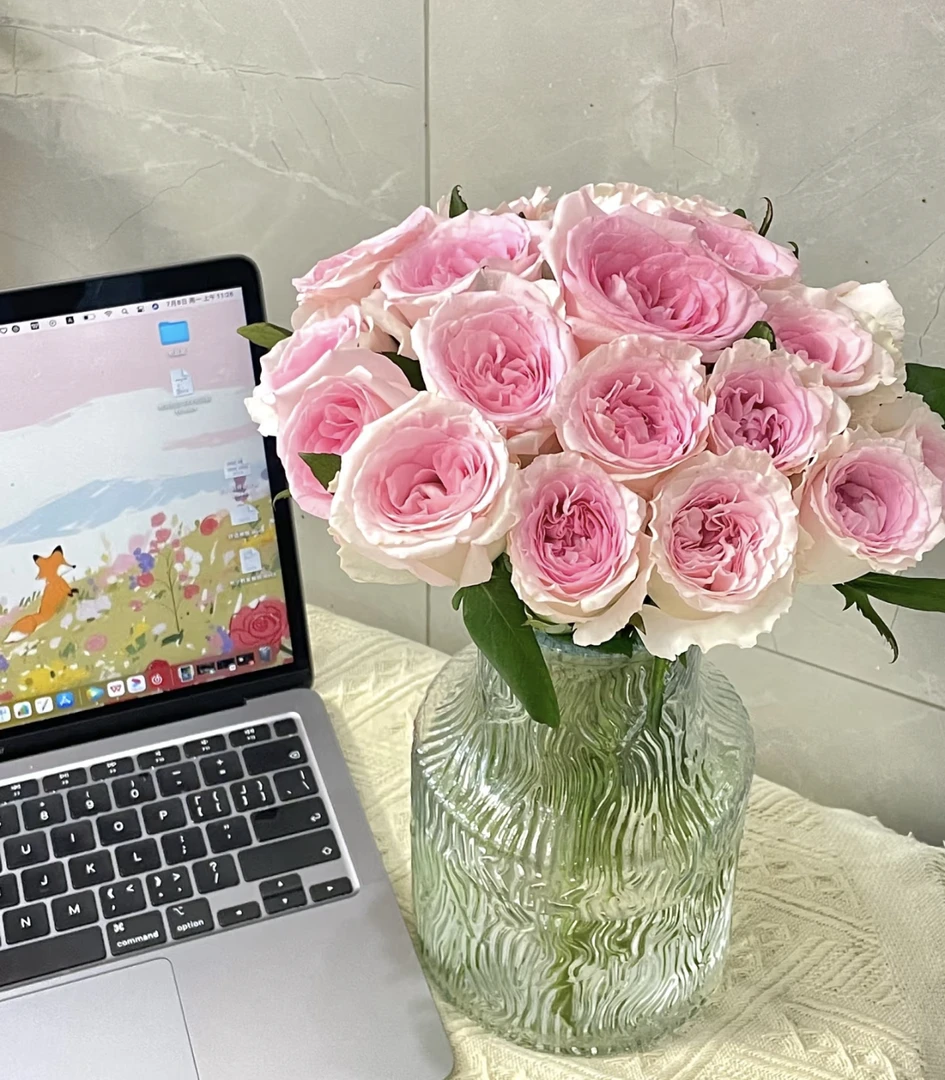 洛神弗洛伊德玫瑰组合 云南基地直发 【同地址两单京东或顺丰】