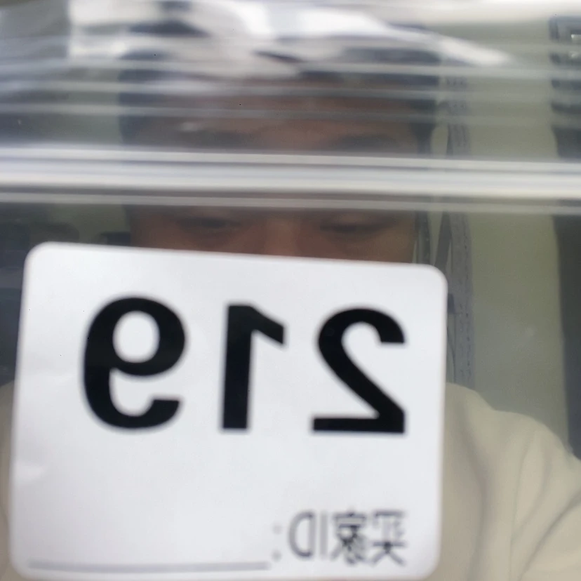 【闪购商品】东非黑黄檀（紫光檀）219大