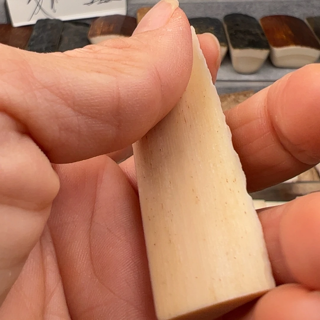 泥塑猛犸制品有限公司