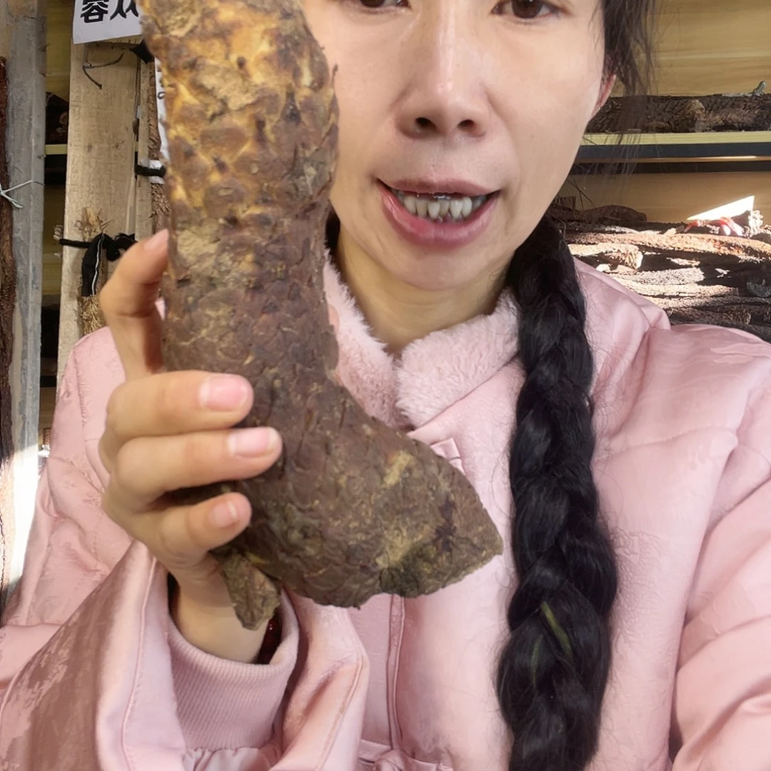 中国大陆530克老根