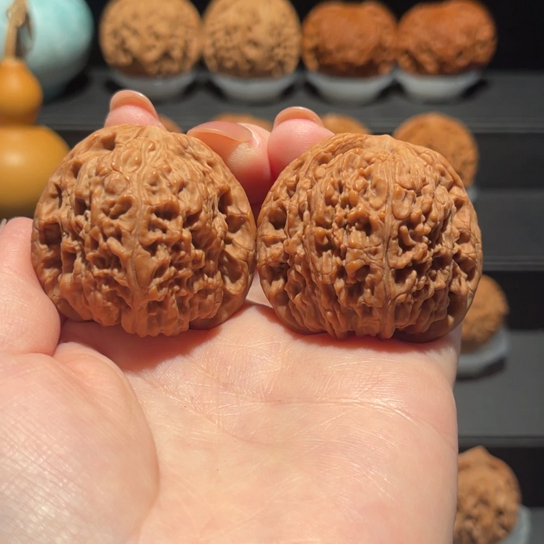 球疆41精品，全品463