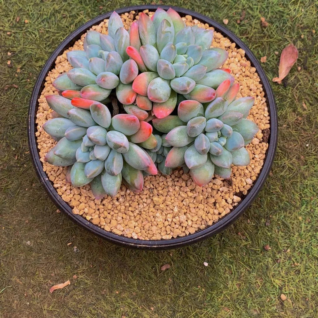 哈哈哈哈哈哈哈哈哈哈哈哈