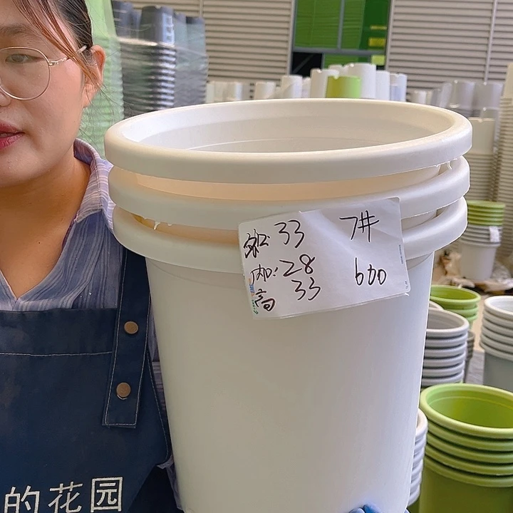 四季盆7#象牙白10个含托