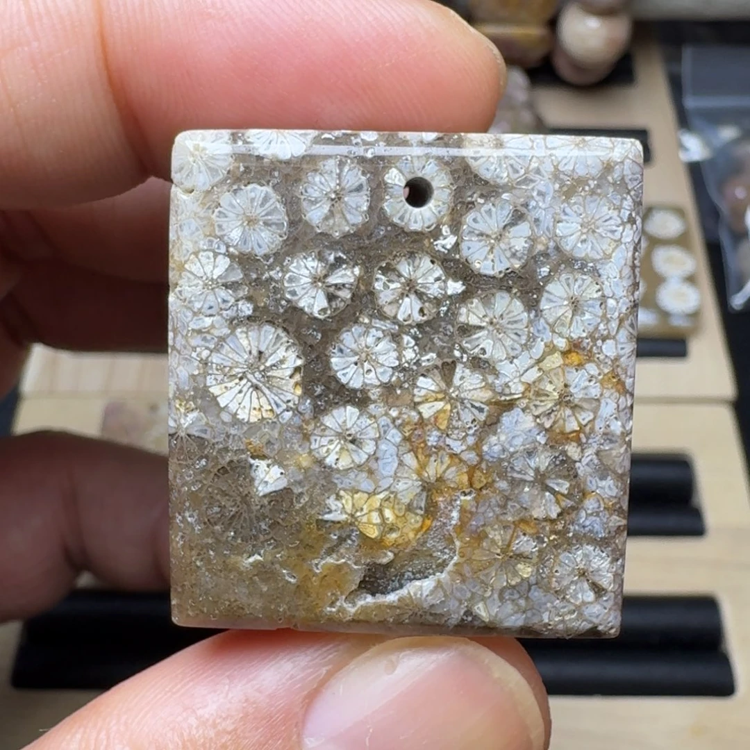 硅化珊瑚（珊瑚玉）未镶嵌纯天然色有机玉石保真色无珠无绳不退换