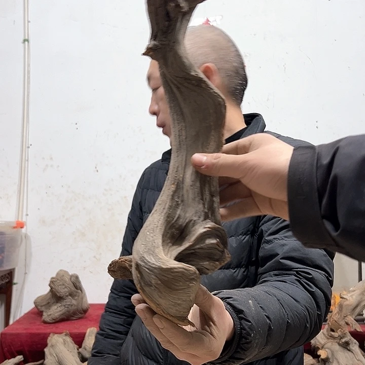 柏木木****店我们的生活也是如此