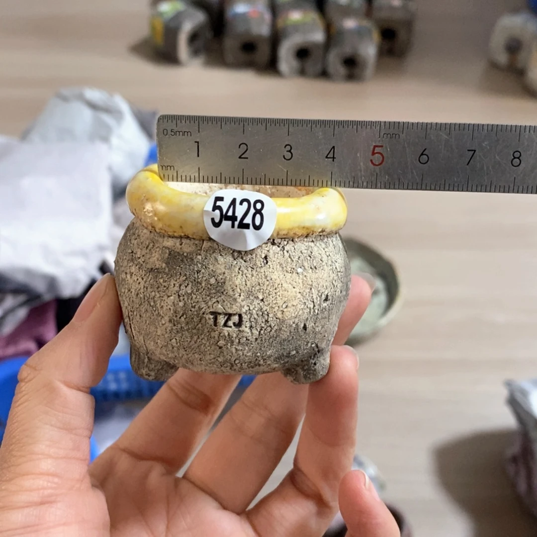 拍3送一个小礼物