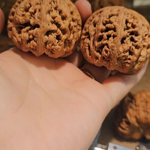 文玩核桃吊坠48粗筋