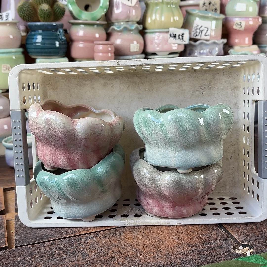 量货/8口高6深浅搭配发4