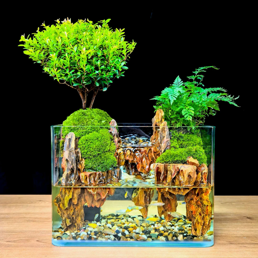 松皮石方流水景观绿植造景创意景观组合鱼缸可养鱼