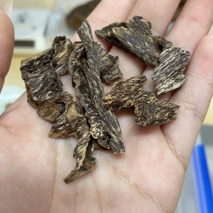 沉香海南生结鸡母虫漏5克