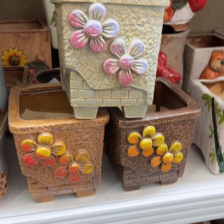 粗陶材质多肉花盆