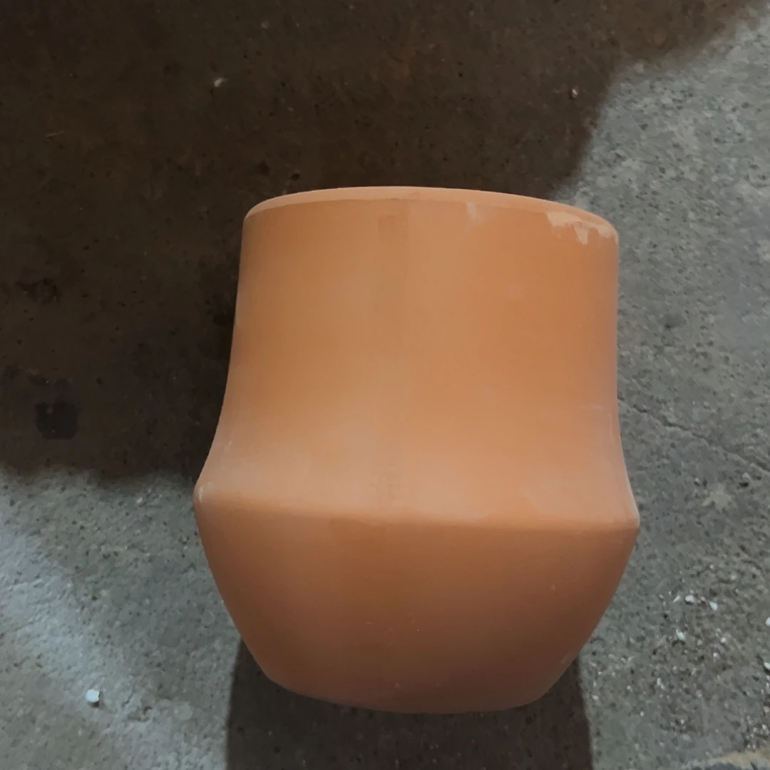 蝴蝶兰盆11口13高1个瑕疵