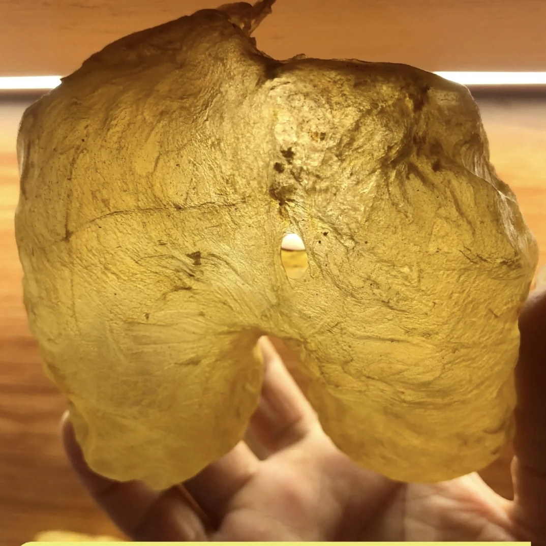 油龟鱼胶滋补干货