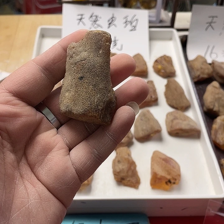*****定制琥珀天然琥珀虫珀