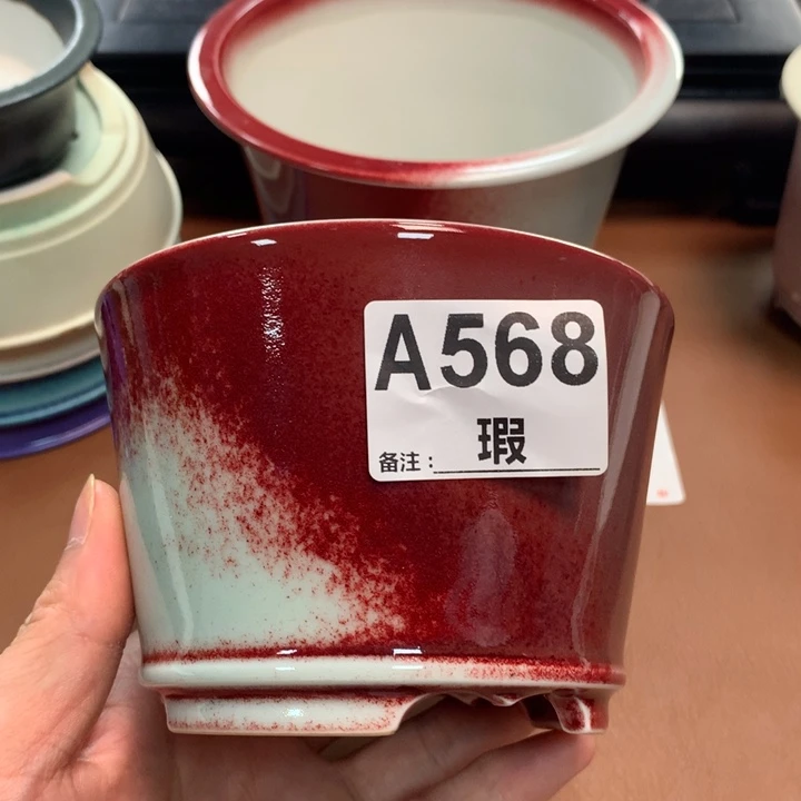 文*君好的东西我都会觉得