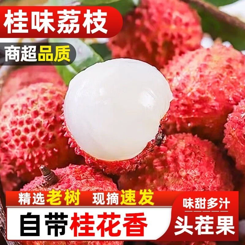 【京东上门】正宗福建桂味荔枝新鲜水果爆甜现摘产地直发泡酒推荐