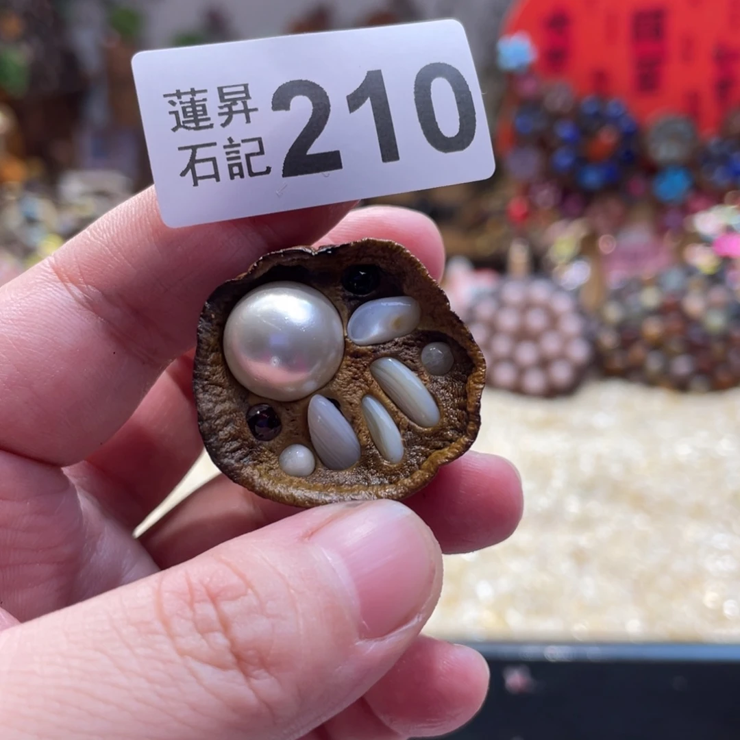 核桃木/黑胡桃（胡桃木）210