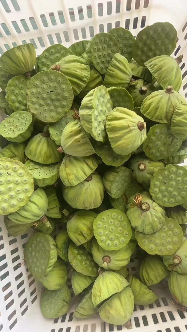 洪湖米之团 精选洪湖新鲜莲蓬 新鲜莲蓬生吃嫩甜 顺丰包邮