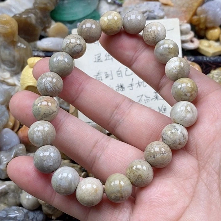 颈饰未镶嵌硅化珊瑚（珊瑚玉）有瑕