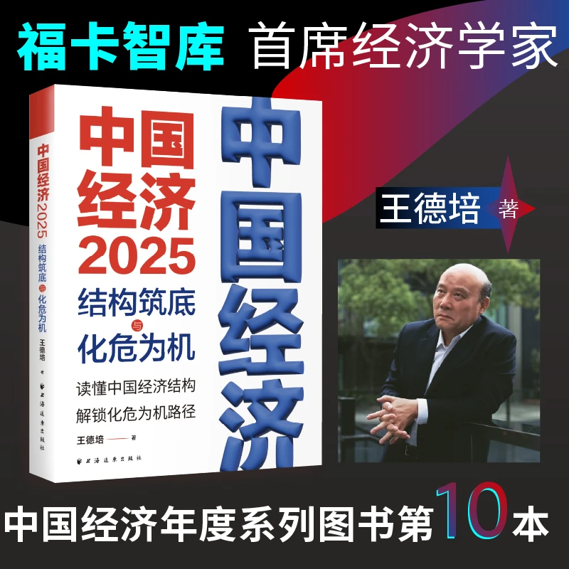 中国经济.2025:结构筑底与化危为机