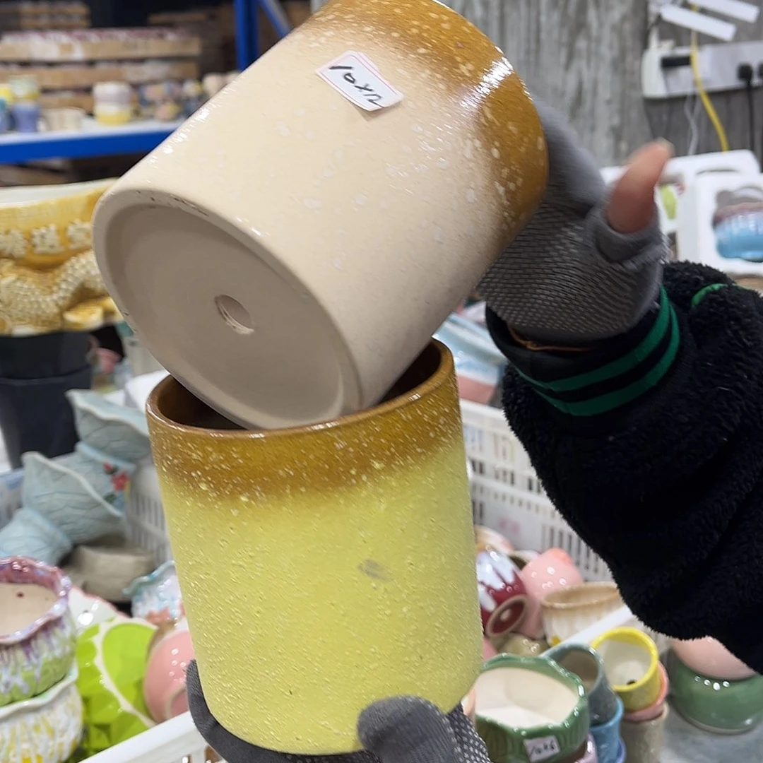 红陶正品数量有限