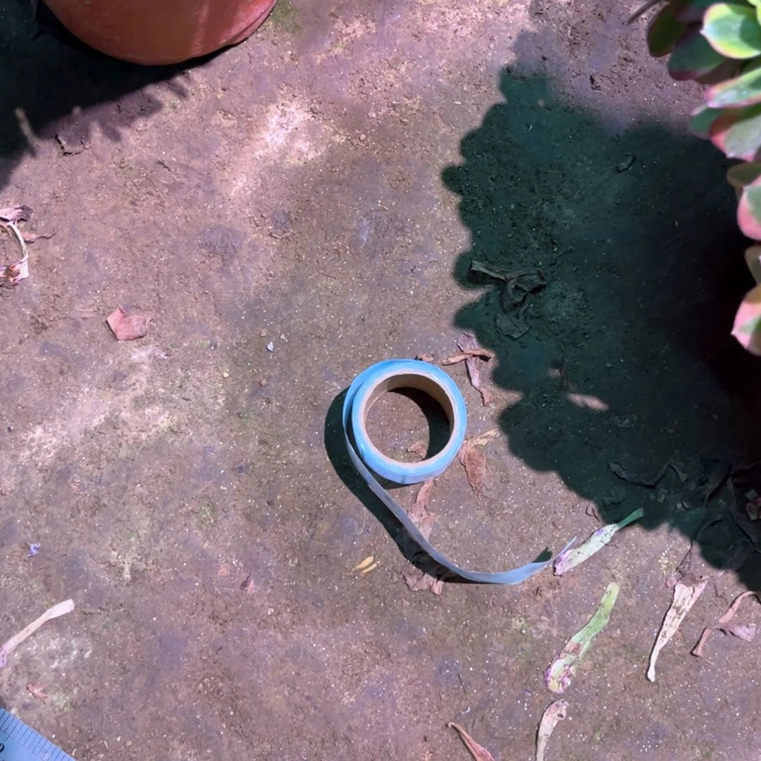 丫****2多肉植物女巫寄养3月发