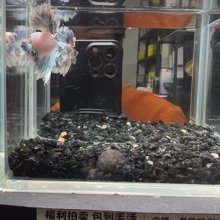 斗鱼跑单拉黑4日40