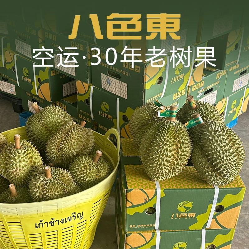 【八色東】泰国空运金枕榴莲 鲜果整颗 30年老果树A果一级肉