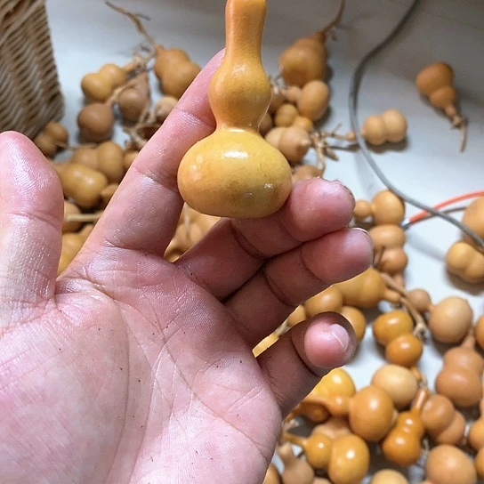 船****沉哈哈哈哈哈哈哈哈哈哈哈哈