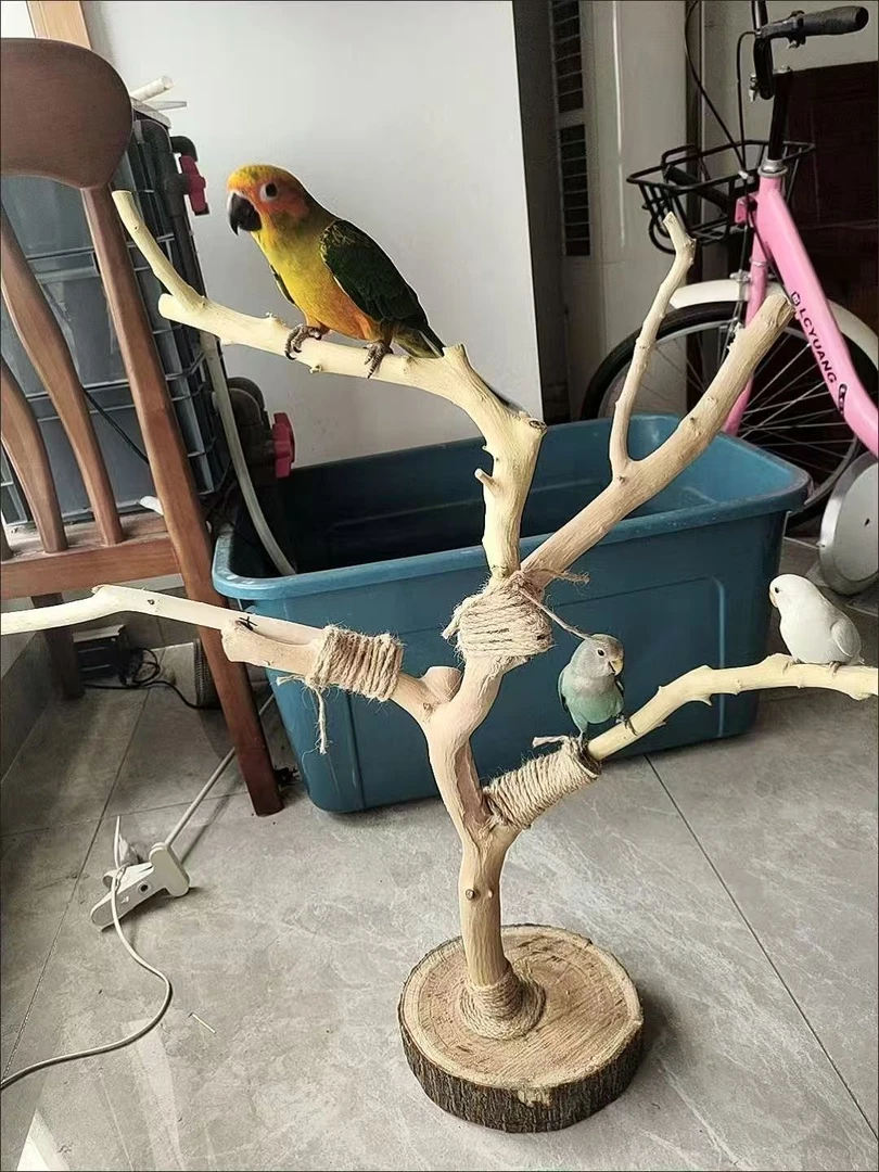 便宜DIY去皮树枝小鸟站灯架子摆件装饰造景枯木鹦鹉专用鸟笼站杆