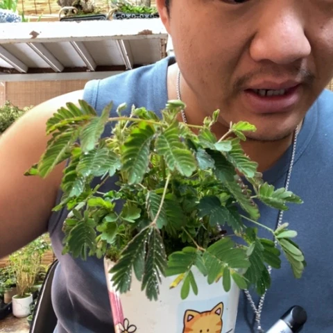 红陶你***。一物一拍所见即所得3