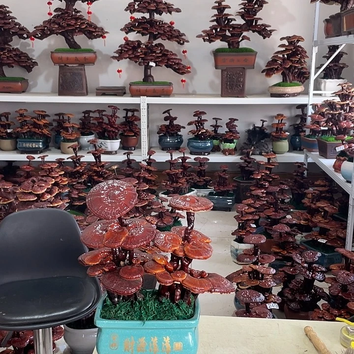 用****621588888888888888888888