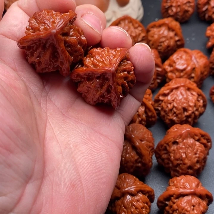 核桃后*三棱核桃核桃