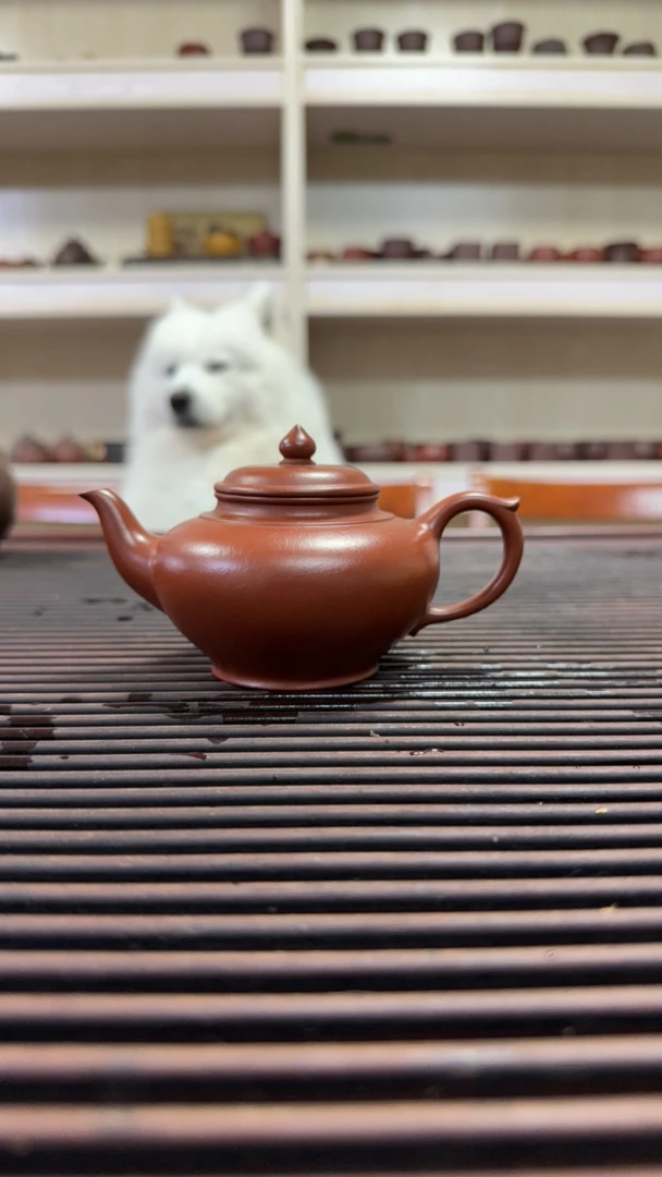 朱泥半手工金奖笑樱