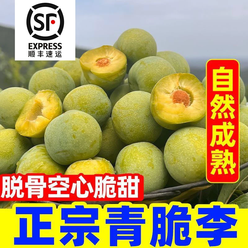【巫山脆李】原产地顺丰直发新鲜现摘脱骨李青脆李子当季绿色水果
