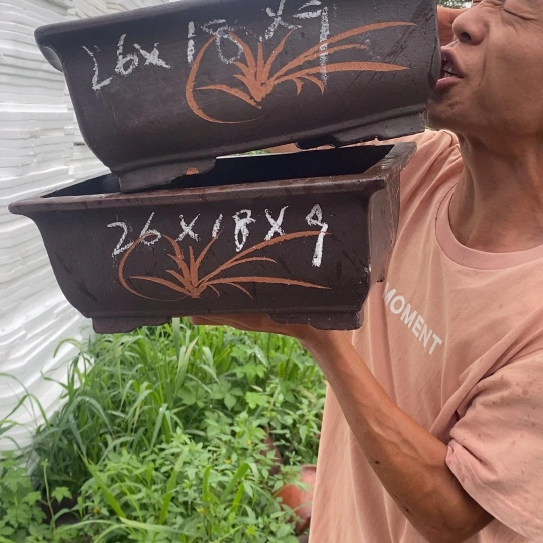 紫砂紫砂紫砂紫砂