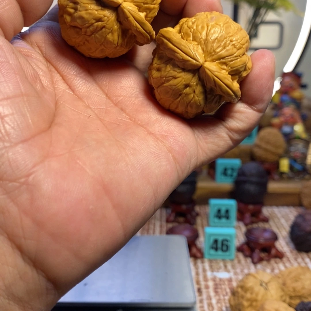 还***丹吊坠龙脊菩提金龟玉甲