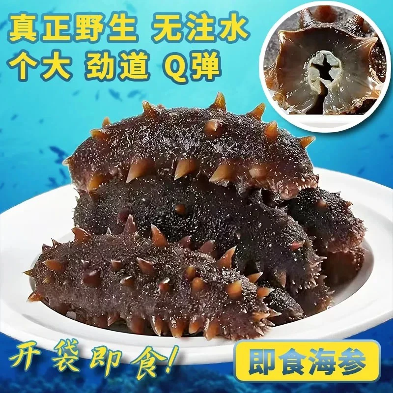 深,海刺 参即食海参  顺丰冷链 包邮30根
