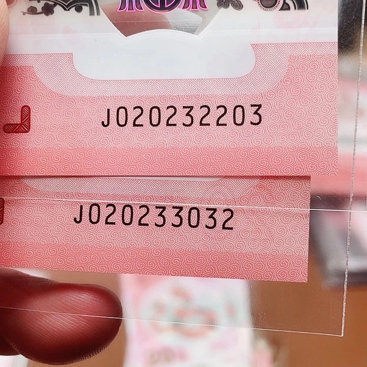 塑料李*泉蛇钞023组合两个