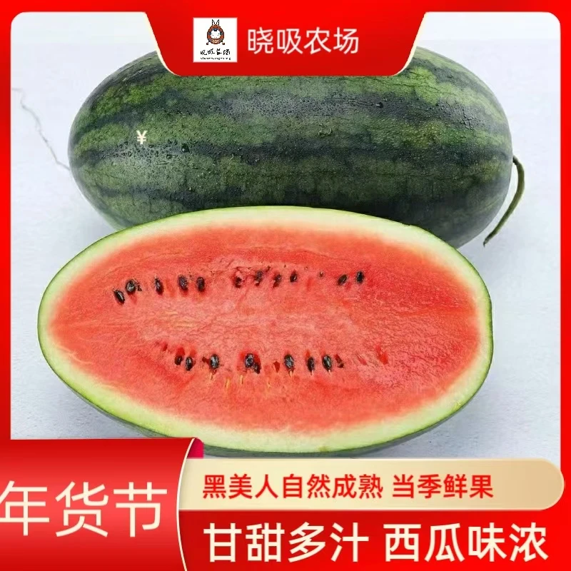 晓吸西瓜黑美人西瓜1个装4斤起