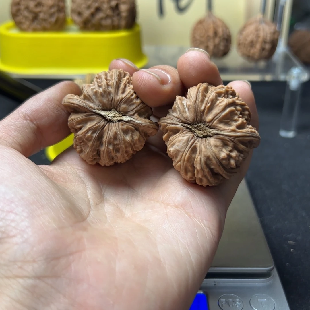 土*文玩核桃文玩手串