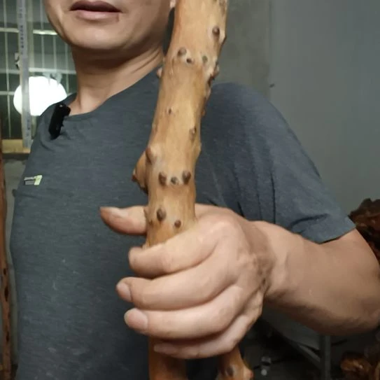 一***光木高山 檬子木文玩料