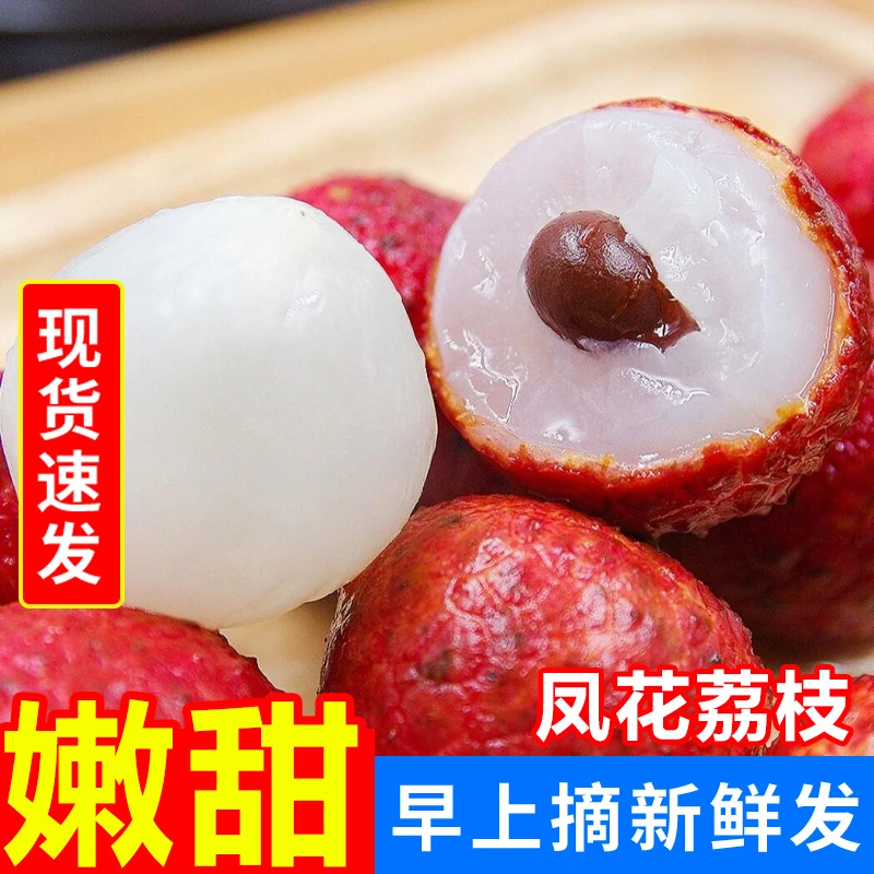 B老树凤花荔枝带枝新鲜采摘应季水果汁多酸甜可口