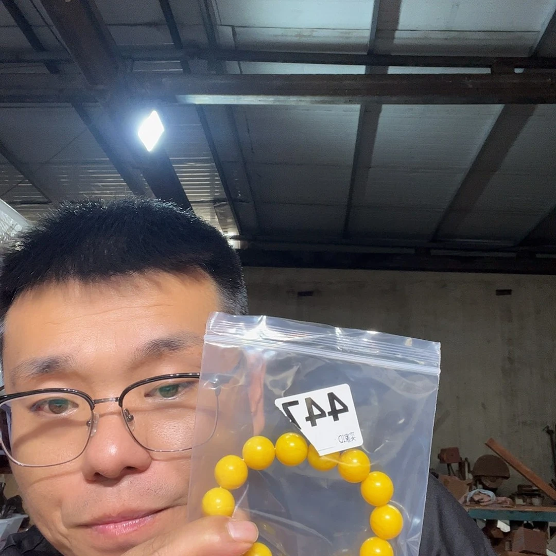 大果紫檀（缅甸花梨）447