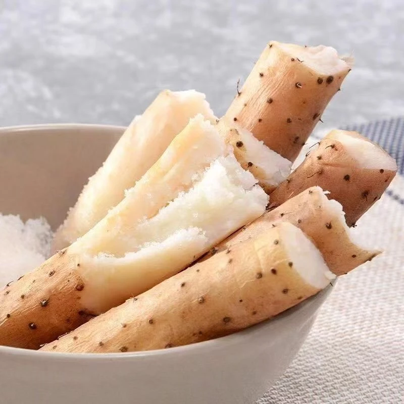 正宗河北麻山药口感软糯绵密原产地直发50-60cm五斤装