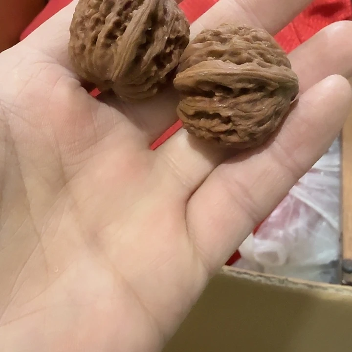 从***金扇子吃h哈哈哈哈哈哈就哈哈