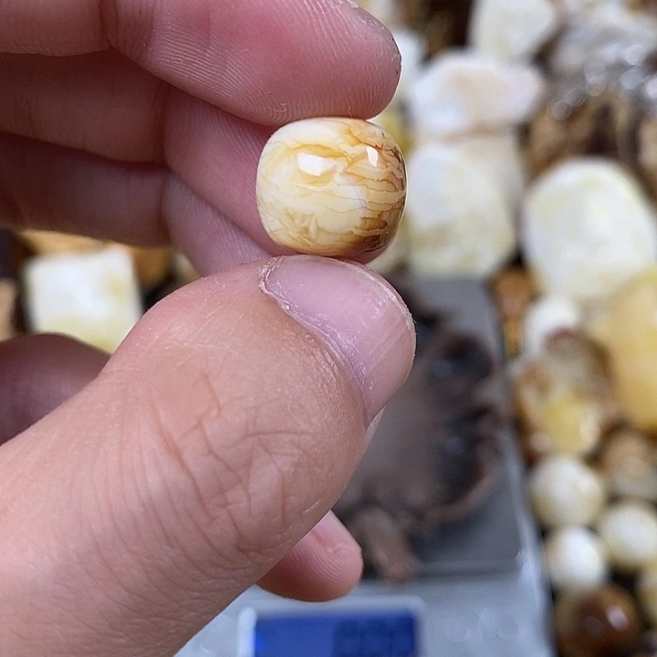 未镶嵌琥珀裸石我