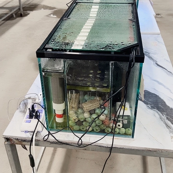 丘***室玻璃1505050侧马桶全套